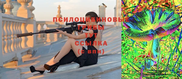прущие грибы Алексеевка