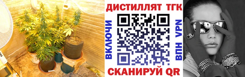 Дистиллят ТГК Wax  Кимры 