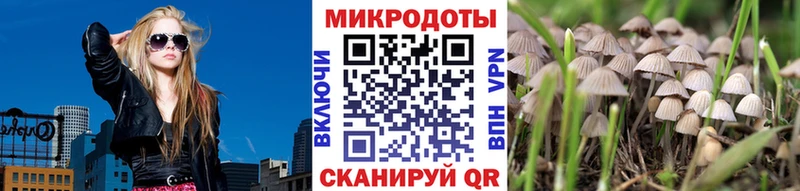 Галлюциногенные грибы ЛСД где купить наркоту Кимры